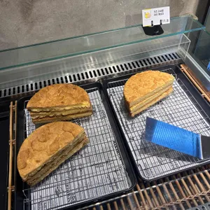 휴가 사진