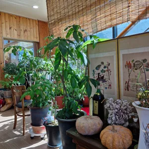 부산식당 리뷰 사진