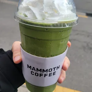 매머드익스프레스 사진