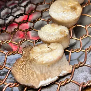 도마 사진