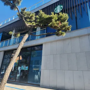 스타벅스 리뷰 사진