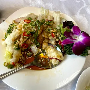 하이보 사진