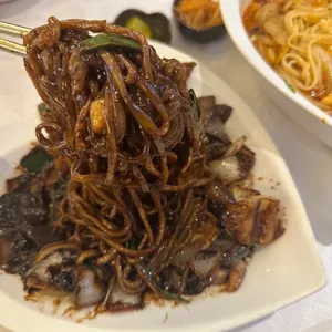 하이보 사진