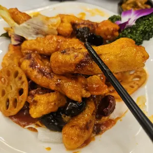 하이보 사진