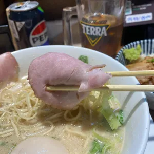 멘지 사진