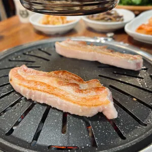 황금돼지 사진