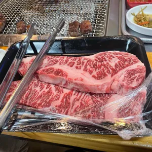 용장어 사진
