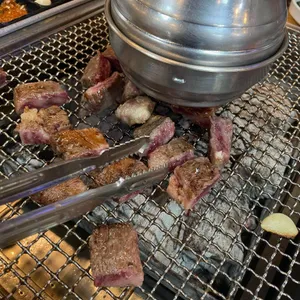 용장어 사진 2