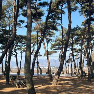 소울 로스터리 리뷰 사진