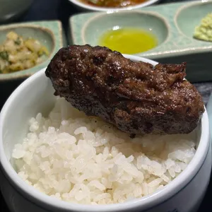화륵 사진