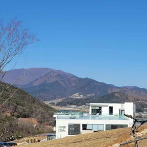 나인힐 베이커리 카페 리뷰 사진