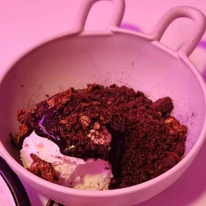 노슈가존 사진
