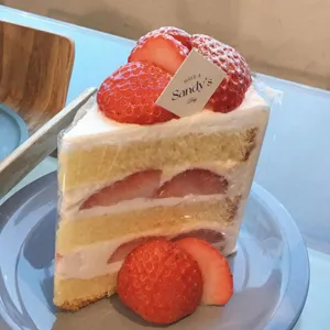 샌디스 사진