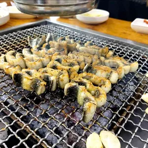 장어사냥 사진