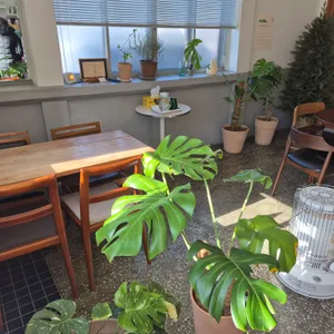 플로우 리뷰 사진