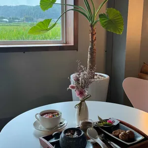 카페 상상화 사진