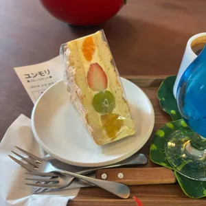 윤숲 사진