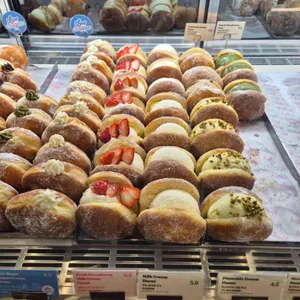 노티드 사진