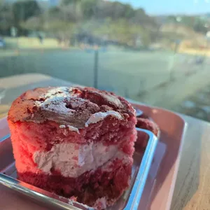 메리골드 사진