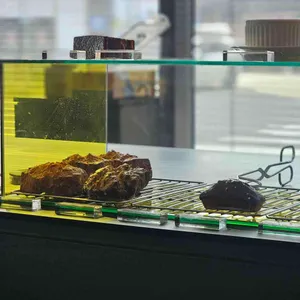 비콘 리뷰 사진