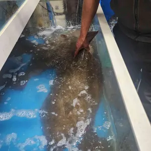 남해횟집 리뷰 사진