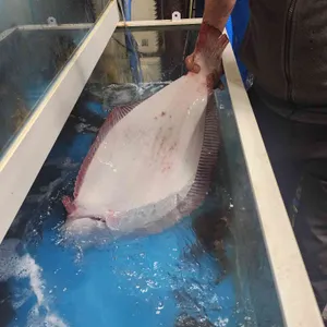 남해횟집 리뷰 사진