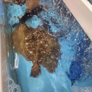 남해횟집 리뷰 사진