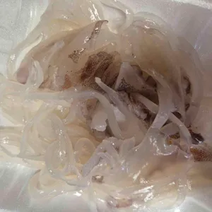해송횟집 사진