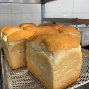 이야빠빵 사진