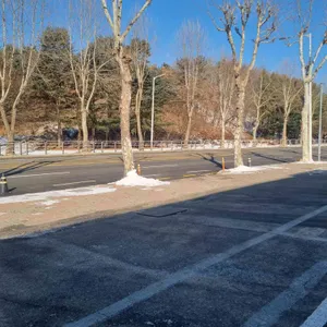 최고야 짬뽕 리뷰 사진