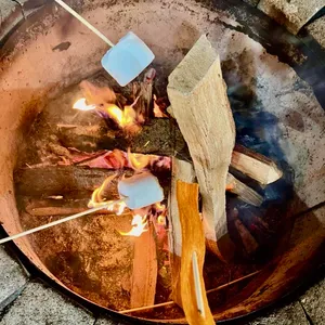 아르페지오 리뷰 사진