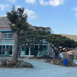 대자연식당 리뷰 사진
