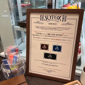 슬라이폭스 리뷰 사진
