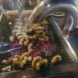 황토장어 사진