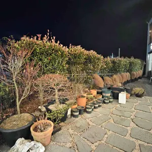 봄날 리뷰 사진