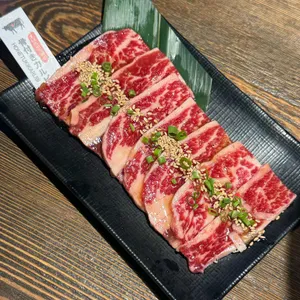 모토이시 사진