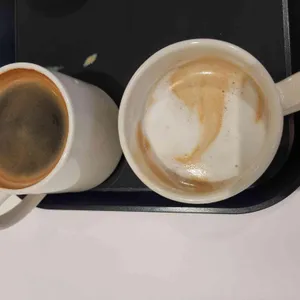 돗꽈비 사진