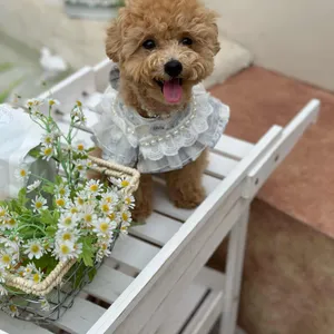 카페단소금 사진