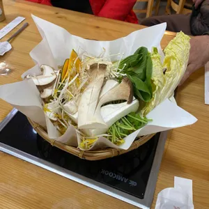 편백숲 사진 2