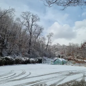평강 오리타운 사진
