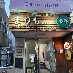마리모 사진 1
