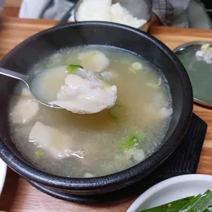 돌고래 사진