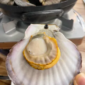 행운동조개 사진