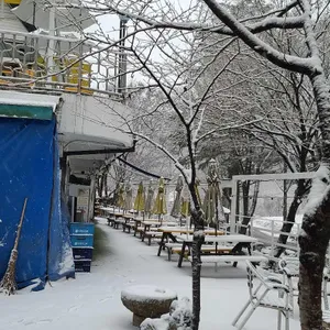 아르페지오 리뷰 사진