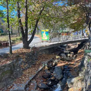 아르페지오 리뷰 사진