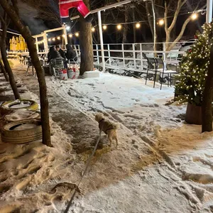 아르페지오 리뷰 사진