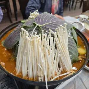 아낙네 사진