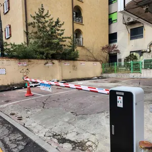 치치 대표 사진