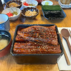 타마 사진