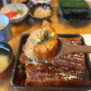 타마 사진